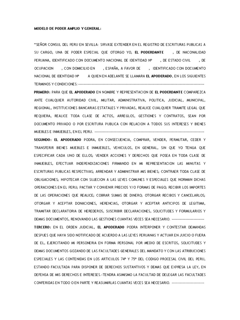 Modelo de poder general ejercicios de derecho civil d vrogue co