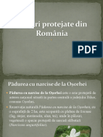 Păduri Protejate Din România