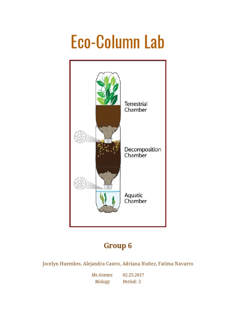 EcoColumn Lab PDF Systems Ecology