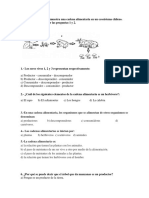 Cadenas alimentarias ecosistema chileno