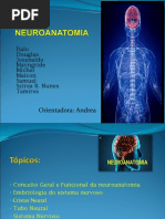 2015 AHA Guidelines Highlights Portuguese