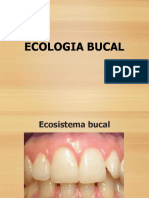 Ecologia Bucal