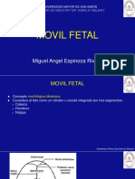 Movil Fetal