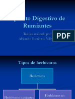 Aparato Digestivo de Rumiantes 1208607636320908 8