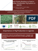 Meeting of The Community of Practice (Cop) On Sweet Potato Marketing, Processing and Utilization