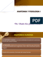 Anatomia y Ejes Planos Regiones-1