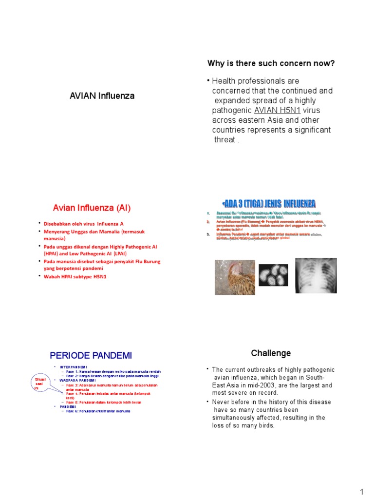 Avian Influenza (AI) | PDF | Avian Influenza | Influenza A Virus ...