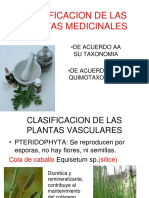 2 Clase Clasificacion de Las Plantas Medicinales (1)
