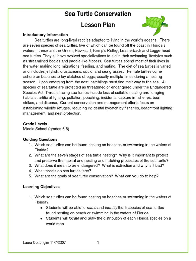 Sea Turtle Conservation Lesson Plan Sea Turtle Conservation