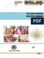 Raipur City Sanitation Plan Executive Summary