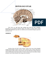 HISTOLOGI OTAK