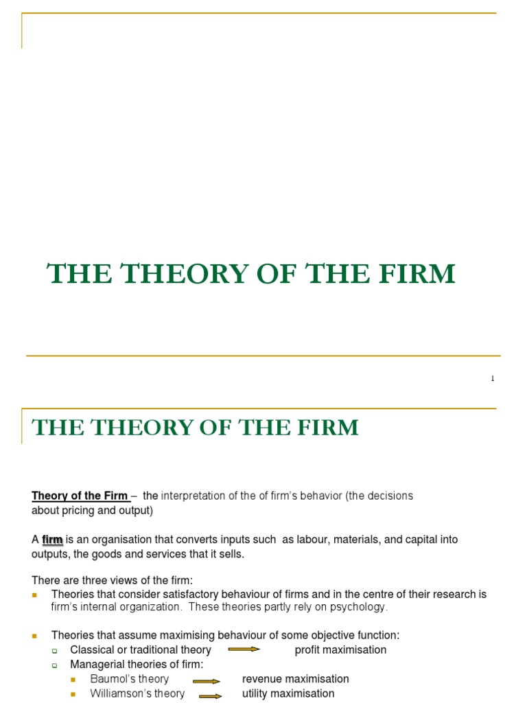 Firm Behavior & Profit Theories | PDF | Present Value | Opportunity Cost