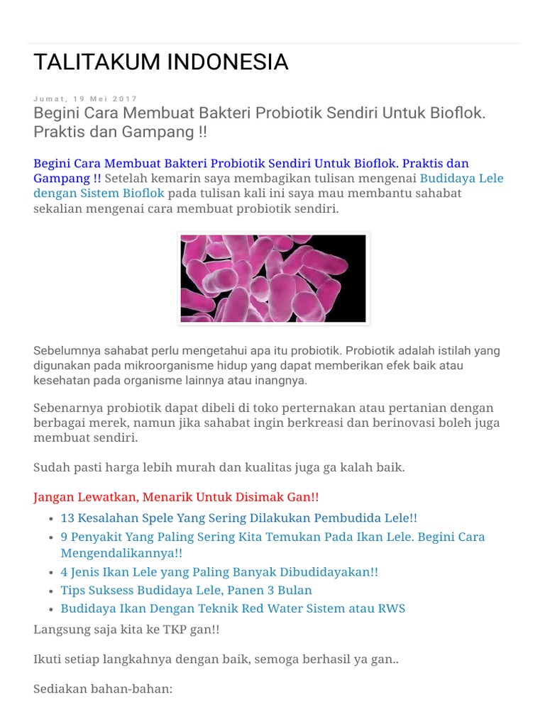 Talitakum Indonesia Begini Cara Membuat Bakteri Probiotik Sendiri Untuk Bioflok Praktis Dan Gampang Pdf