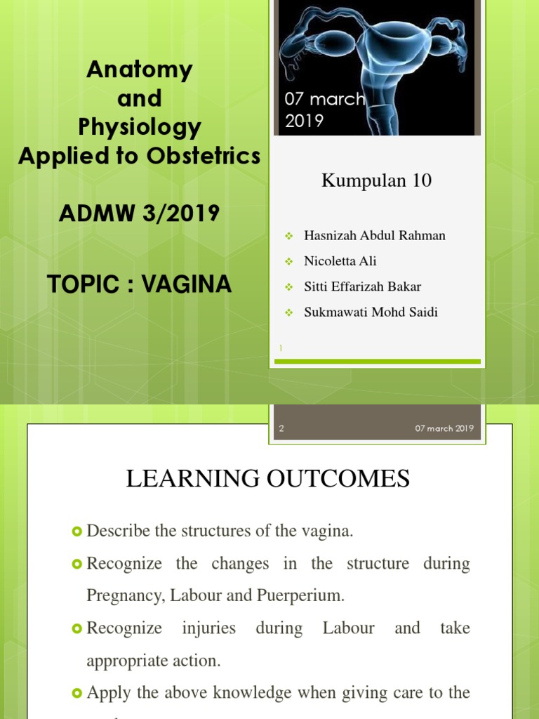 Anatomy And Physiology Applied To Obstetrics Admw 3 2019 Kumpulan 10