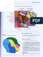 Nervio facial - Latarjet.pdf