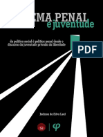 sistema penal e juventude - livro.pdf