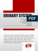 Urinary System: Faradilla Silviana Indah Pratiwi Lea Ranggalawe W Putri Winda Sari Renaldi Sarinah