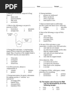 DNA and RNA Quiz