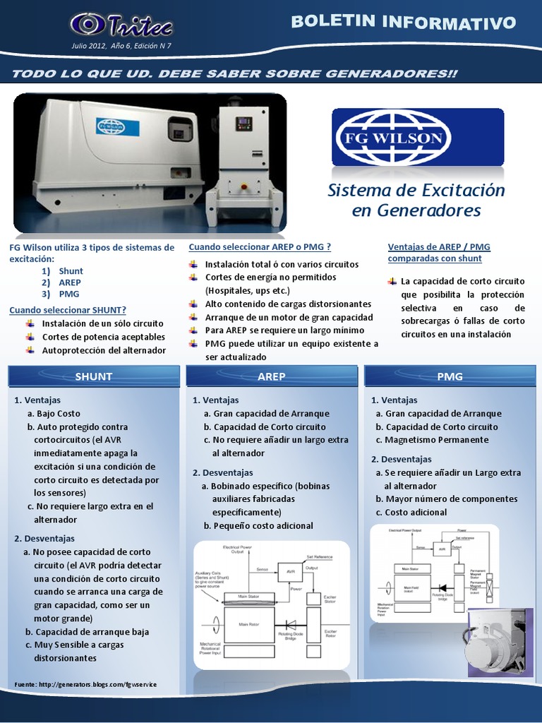 Shunt Arep PMG PDF | PDF | Automatización | Calidad (comercial)