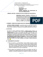 Demanda Proceso de Ejecucion de Alimentos