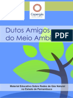 Cartilha Dutos Amigos PDF