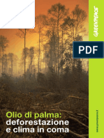 Olio Palma Clima PDF