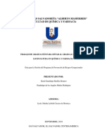 Guia para Elaboracion de Plan de Gestion de Riesgos PDF