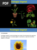 Fisiologia Vegetal