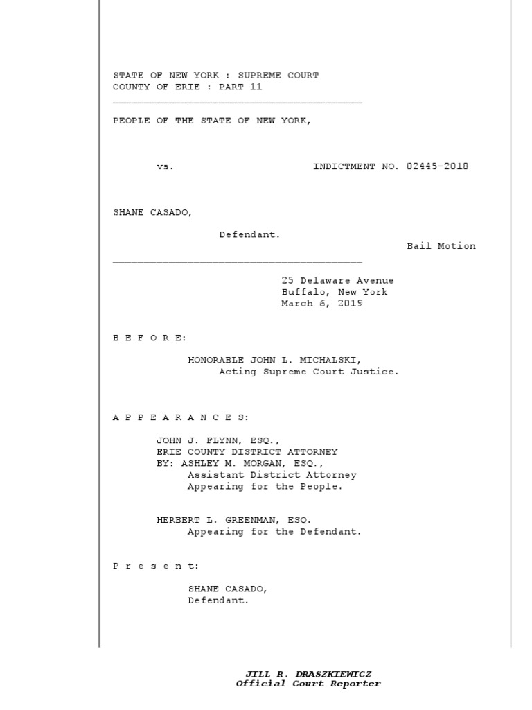 Shane Casado Bail Hearing Transcript | PDF | Bail | Judge