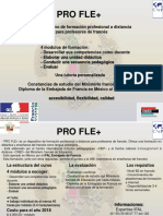 Page Informative Pro Fle