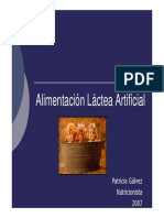 Alimentaci_n_L_ctea_Artificial_enfermeria.pdf