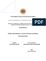 Tesi G. Cantillo PDF