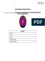 Emefa Form Ofls Facv PDF