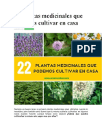 22 Plantas Medicinales Que Podemos Cultivar en Casa