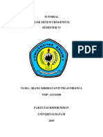 Logbook RIANG Skenario 2 PDF