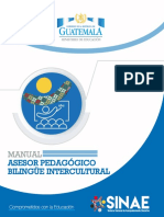 Asesor Pedagógico-JD PDF
