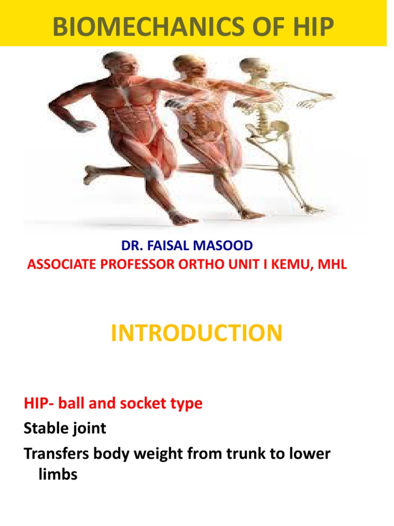 Biomechanics of the Hip Joint | PDF | Hip | Human Leg