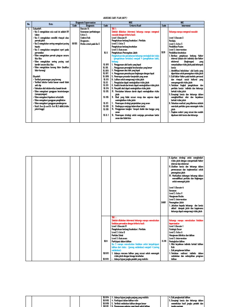 NCP Nanda NIC NOC | PDF