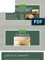 Cebada y Avena