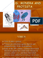 Virus, Monera and Protista