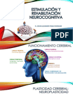 Estimulacion y Rehabilitacion Neurocognitiva