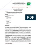 T.P. N° 6 TEJIDOS VEGETALES.pdf