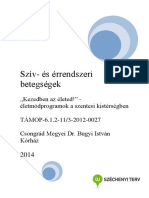 Sziv-Es-Errendszer Betegségek PDF