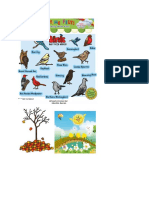 Wild Animals and Birds For Kids