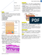 pele roteiro da aula.pdf