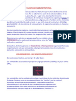 Composición Química y Clasificación de Las Proteínas