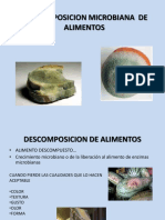 Descomposicion de Alimentos