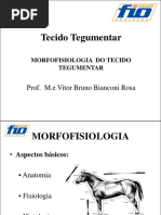 Morfofisio.pdf