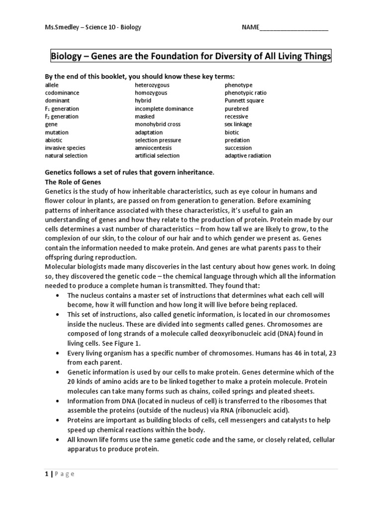 Understanding Genetics and Inheritance | PDF | Dominance (Genetics ...