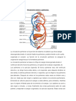 Download Circulacin menor o pulmonar by Diana Pool SN40201587 doc pdf